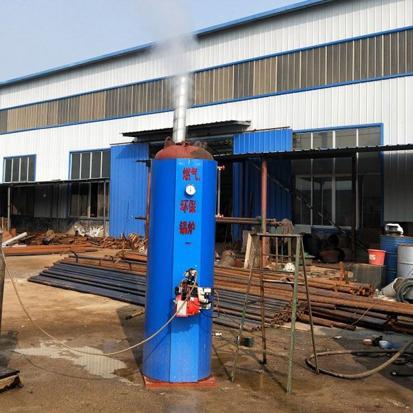 立式燃?xì)猸h(huán)保鍋爐