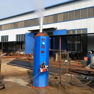立式燃?xì)猸h(huán)保鍋爐